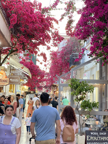 Busy shopping street under pink bougainvillea blossom
