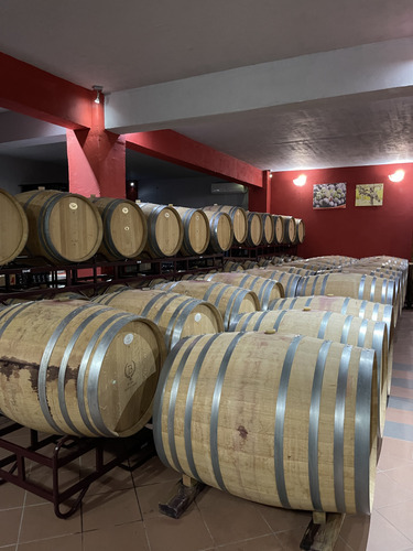 Rows of oak wine barrels in a cellar with red walls