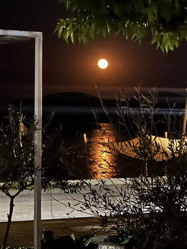The full moon seen through trees and a terrace, glowing over the water