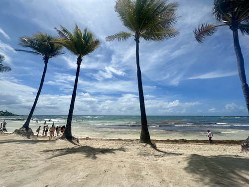Palm trees on a sandy beach with people by the turquoise sea under a blue sky
