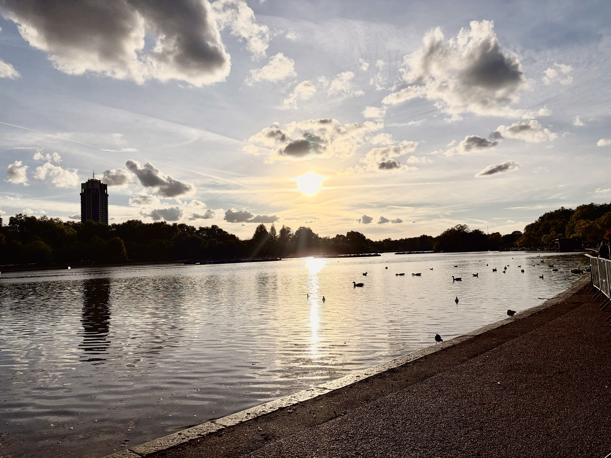 Low sun over a lake with birds on the water and a lakeside path