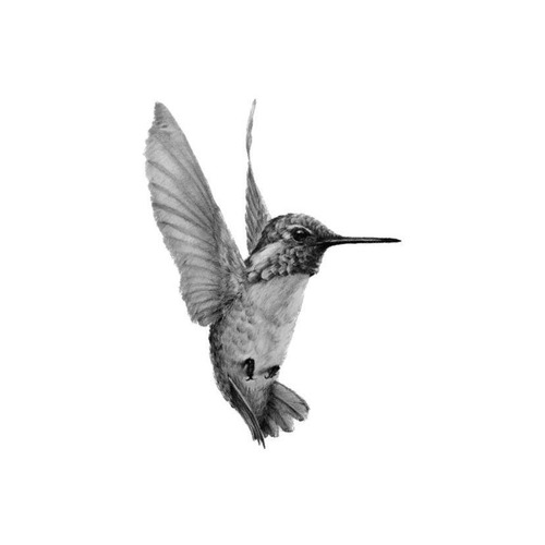 Profile photo of Nora A.